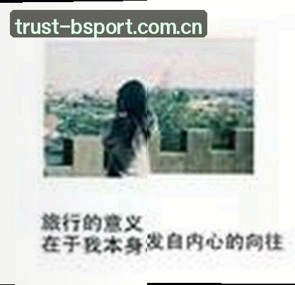 郑涛